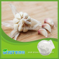 Hot sale and 100% natural dehydrated garlic powder with best quality